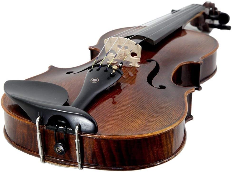 Violin | Suzuki | Sv300