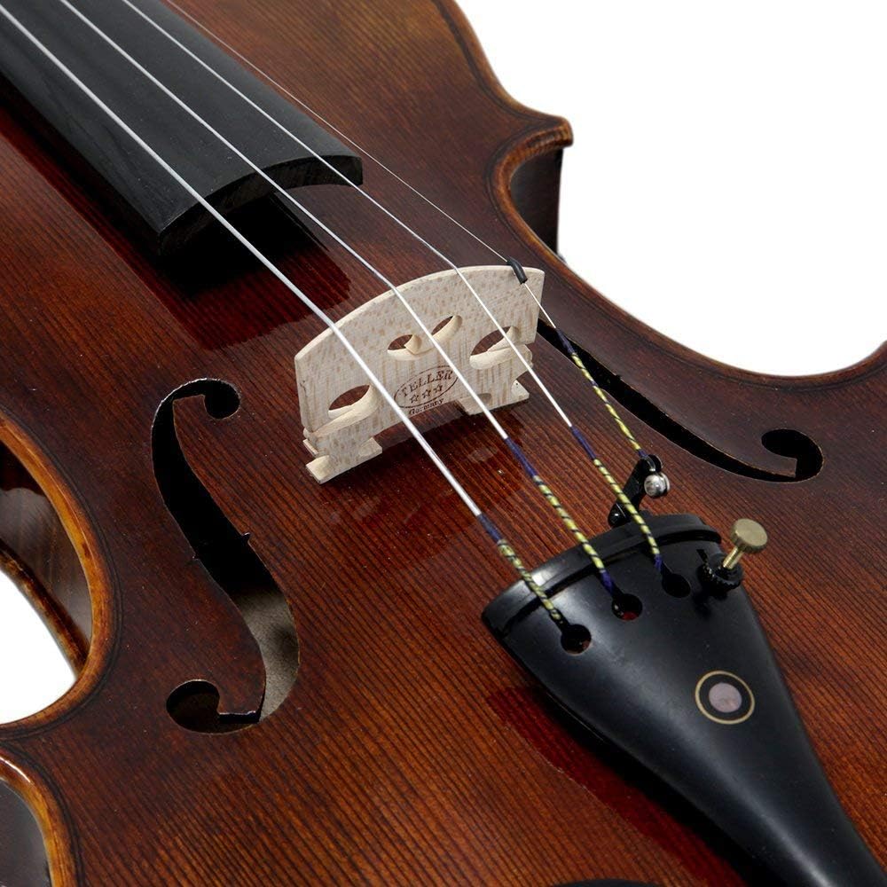 Violin | Suzuki | Sv300