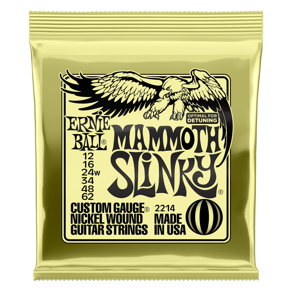 Electric Strings | Ernie Ball | 2214