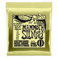 Electric Strings | Ernie Ball | 2214