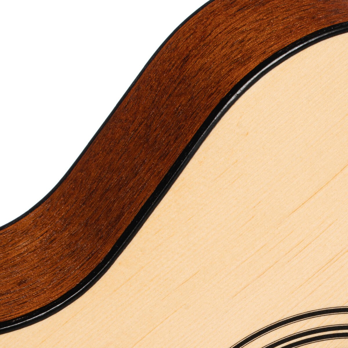 Acoustic Guitar | Cort | Af505 Op