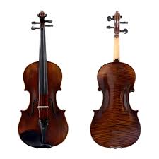 Violin | Suzuki | Sv300