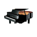 GB1K PE YAMAHA GRAND PIANO WITH BENCH